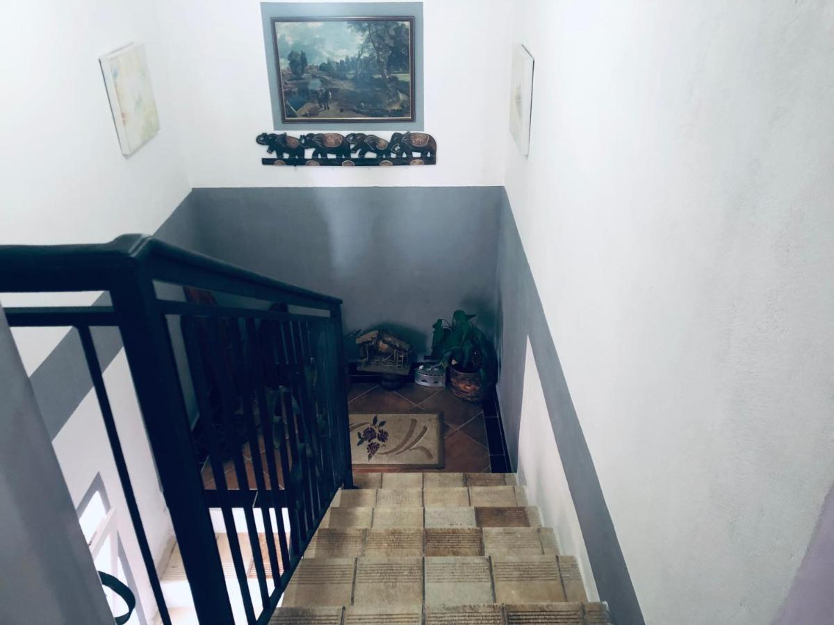Apartmani Miljana بار المظهر الخارجي الصورة