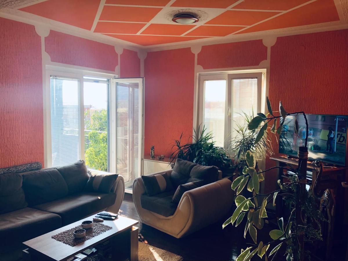 Apartmani Miljana بار المظهر الخارجي الصورة