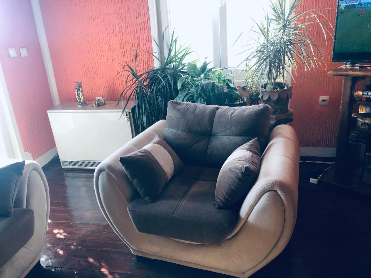 Apartmani Miljana بار المظهر الخارجي الصورة