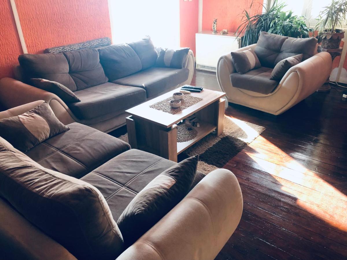 Apartmani Miljana بار المظهر الخارجي الصورة