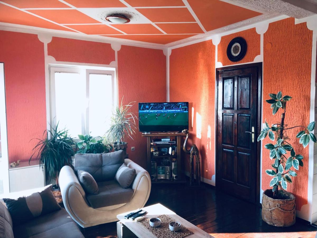 Apartmani Miljana بار المظهر الخارجي الصورة