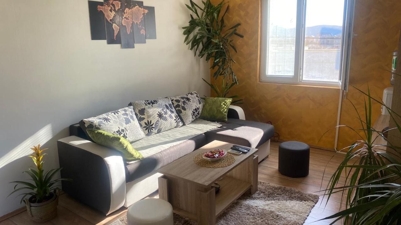 Apartmani Miljana بار المظهر الخارجي الصورة