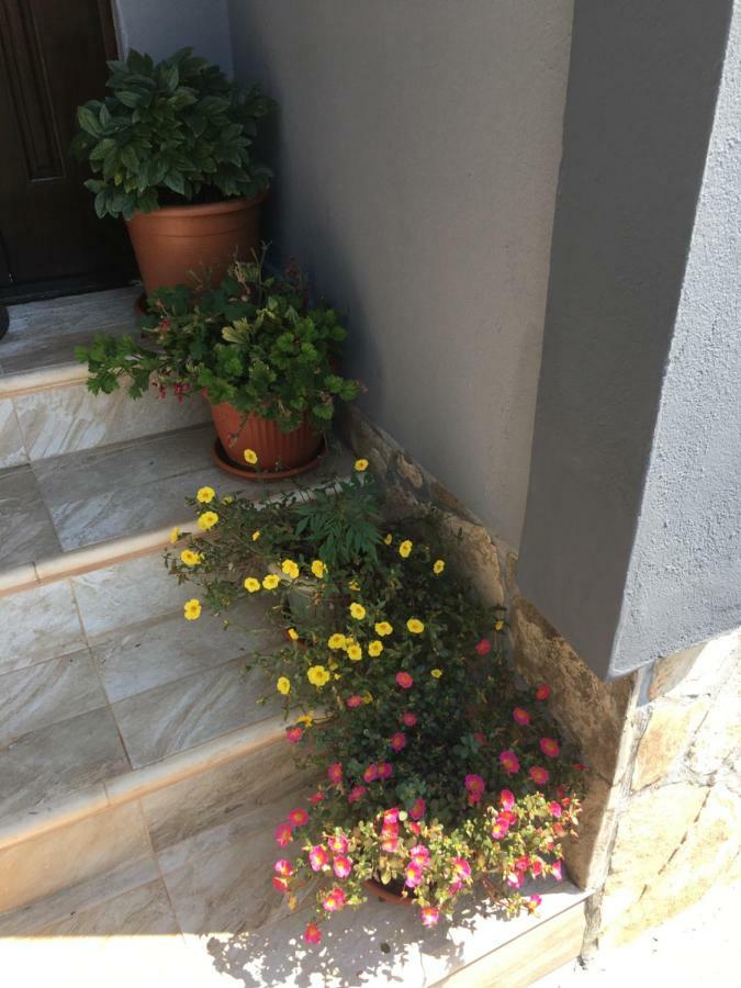 Apartmani Miljana بار المظهر الخارجي الصورة