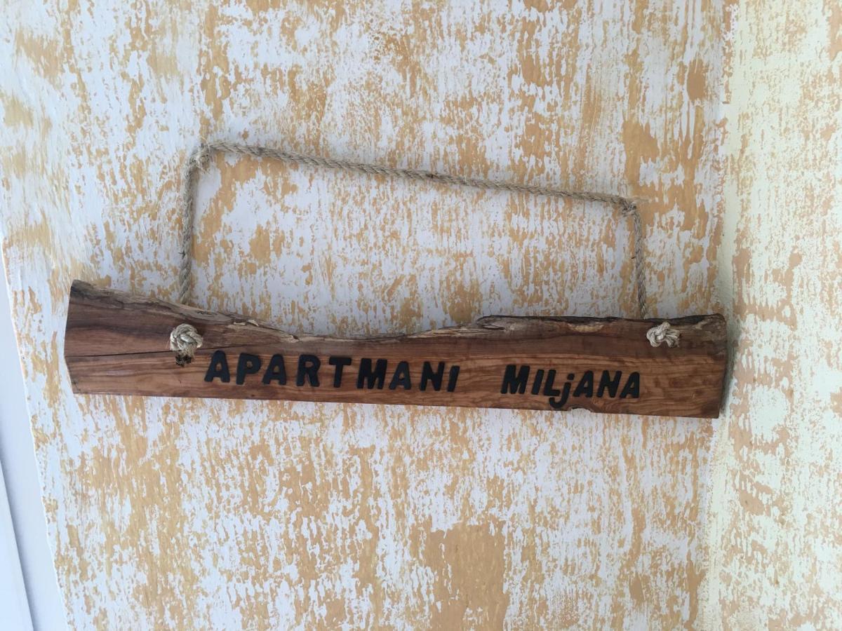 Apartmani Miljana بار المظهر الخارجي الصورة